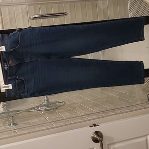 Style&Co 4 Petite Short Jeans